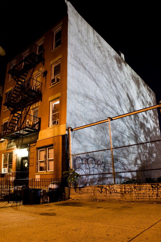 A Surprisingly Large Number of Trees Grow in Brooklyn