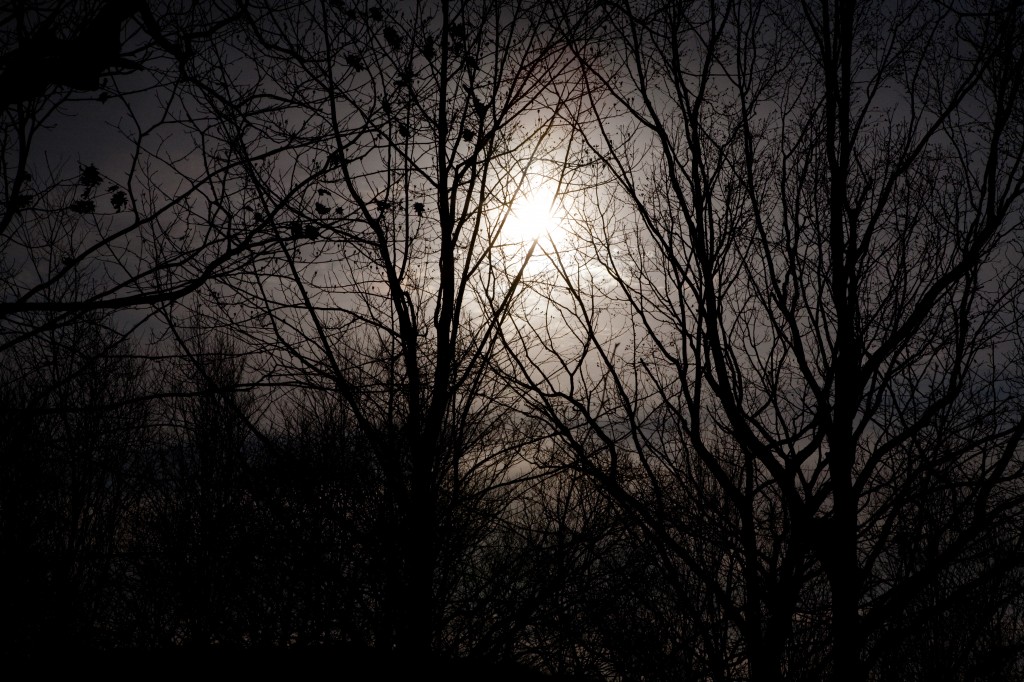 Full Moon on a Sunny Day