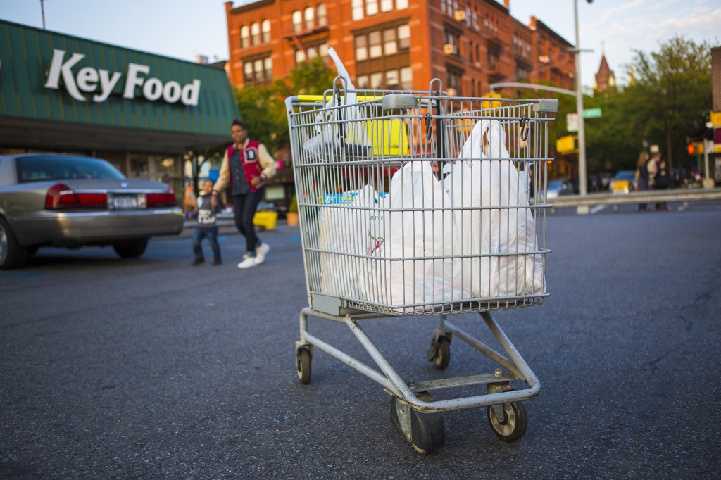 this is a hundred dollars of groceries