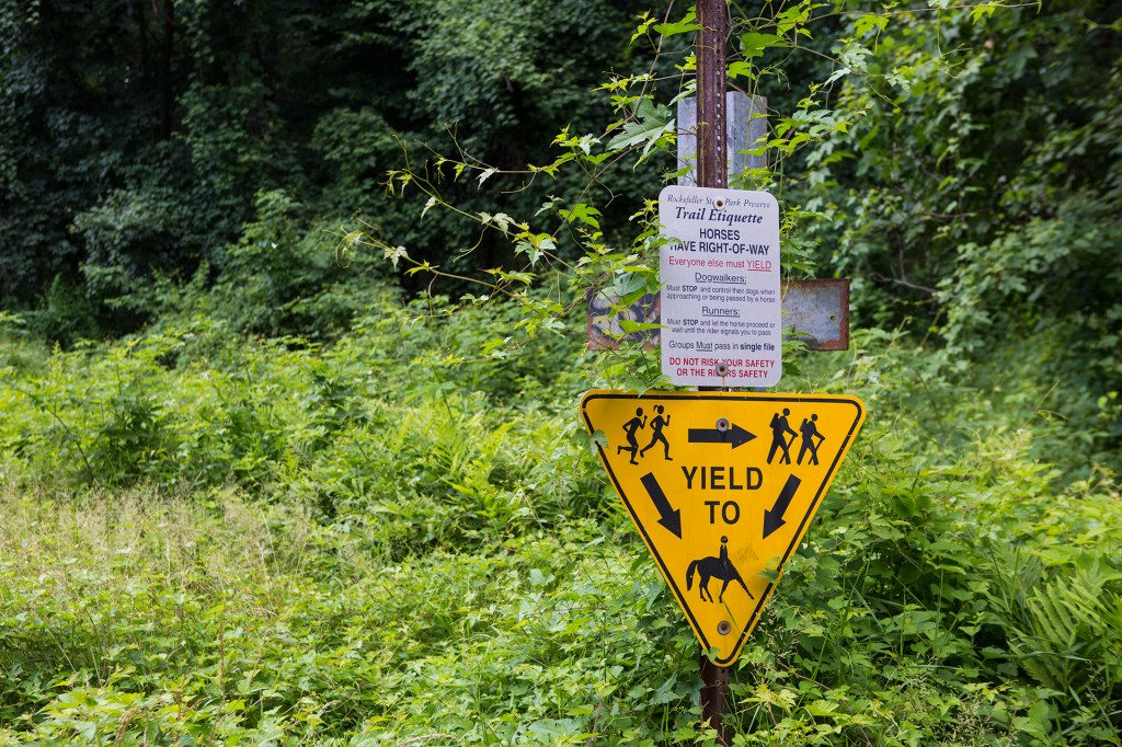 yield to centaurs