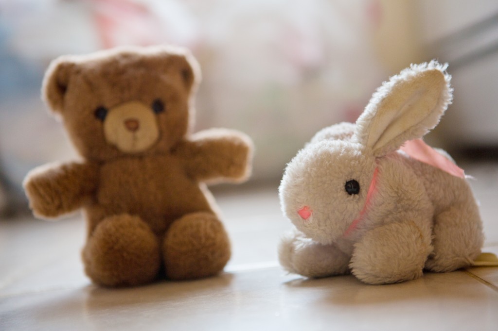 ted & bun