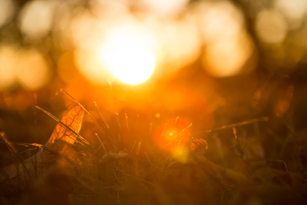 flare