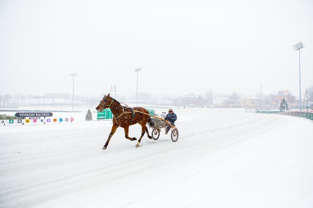 1 horse sleigh(sort of)