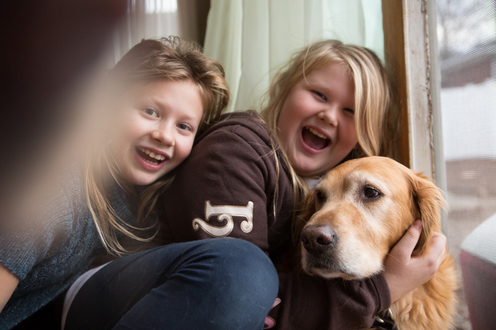 kids n dogs