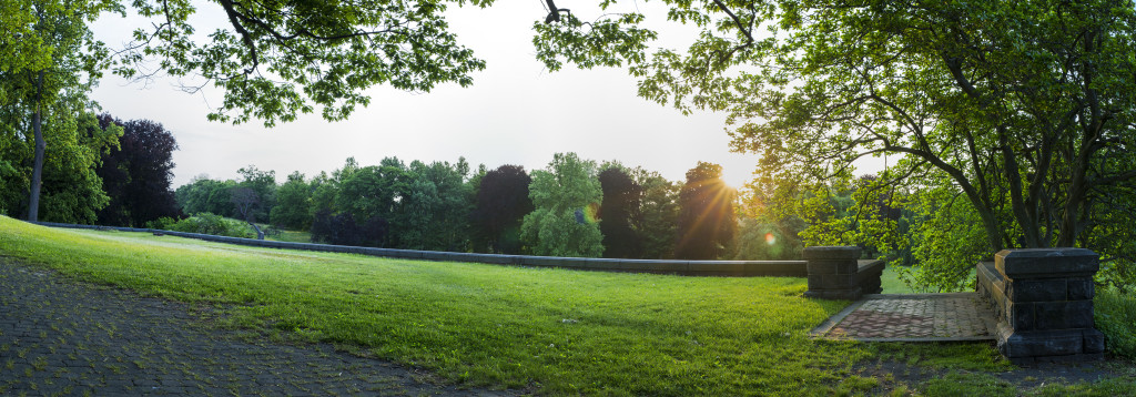 Rockwood Sunrise