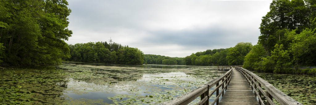 Teatown Lake